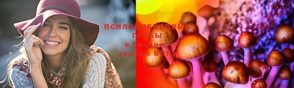 герыч Протвино
