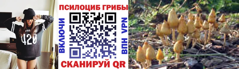 Псилоцибиновые грибы Magic Shrooms Суздаль