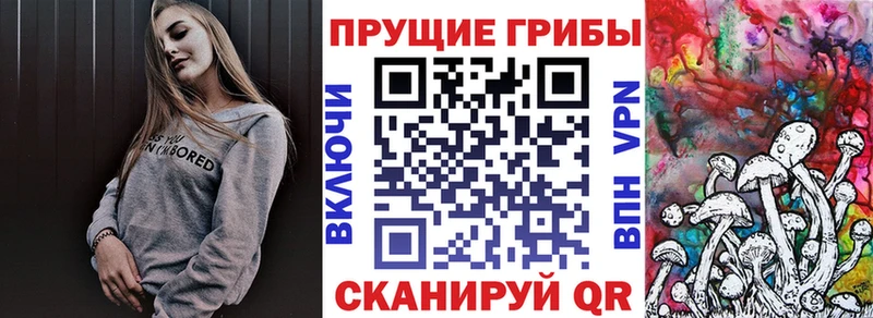 Галлюциногенные грибы мухоморы  Суздаль 